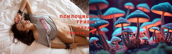 не бодяженный Богданович
