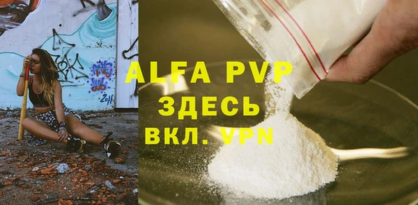 прущие крисы Бородино