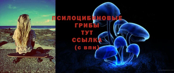 прущие крисы Бородино