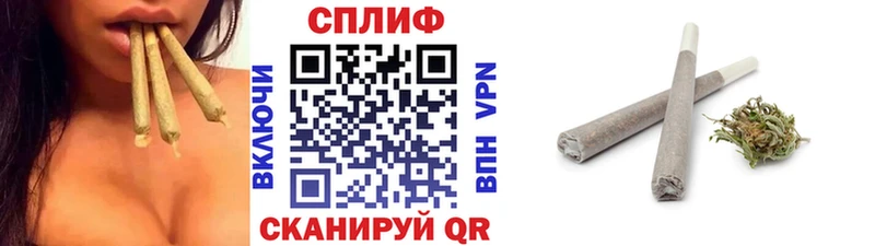 Канабис семена  мега зеркало  Верхоянск  дарнет шоп 